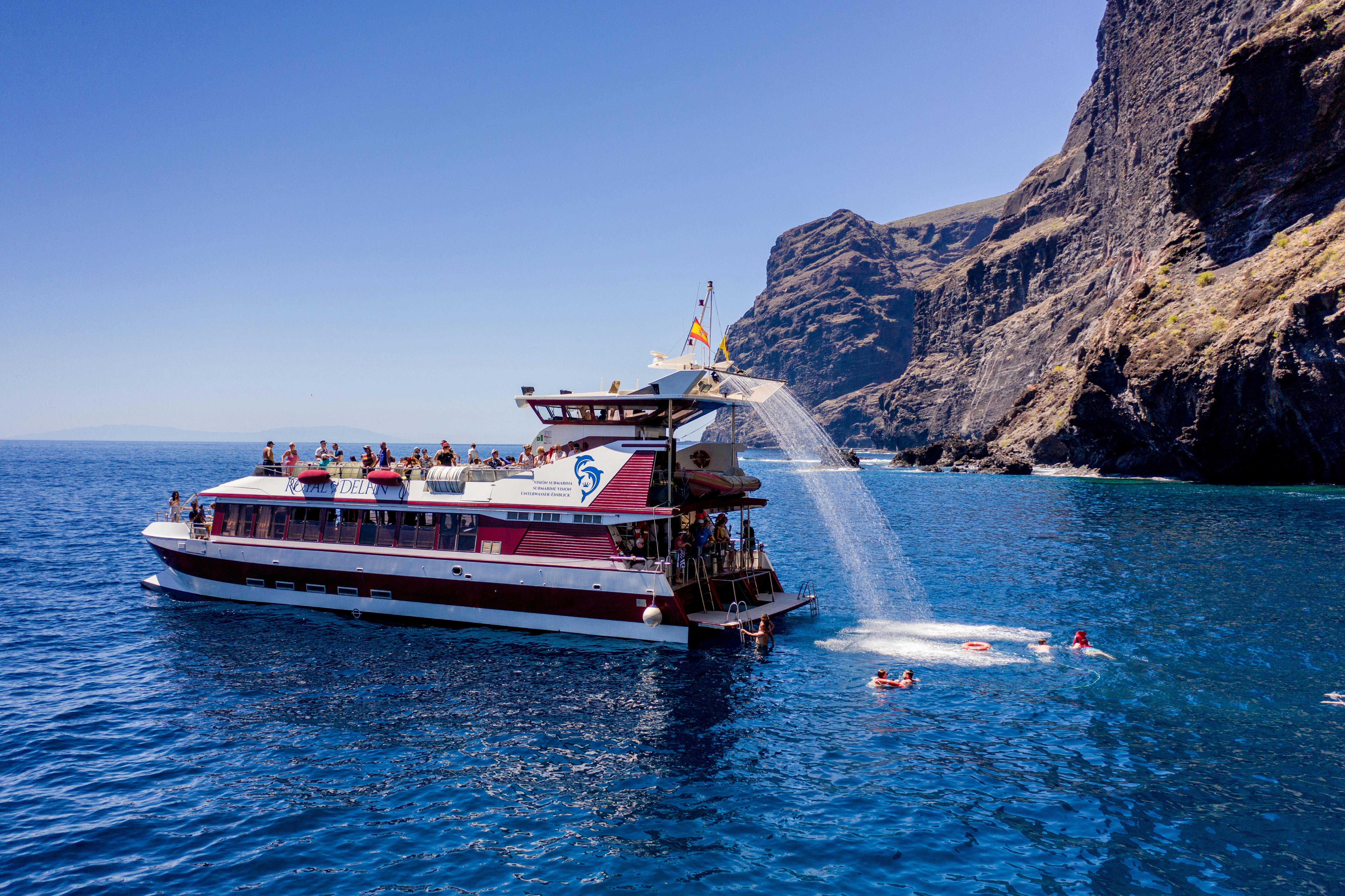 Croisière de quatre heures d'observation des baleines et dauphins avec Royal Delfín