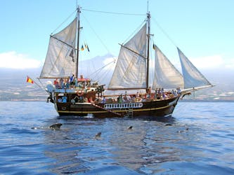 Flipper Uno Boat Trip