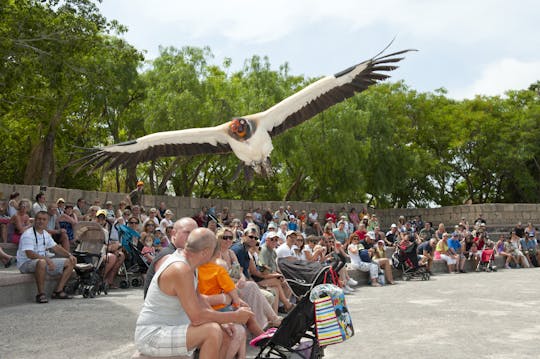 Jungle Park Mega Dag