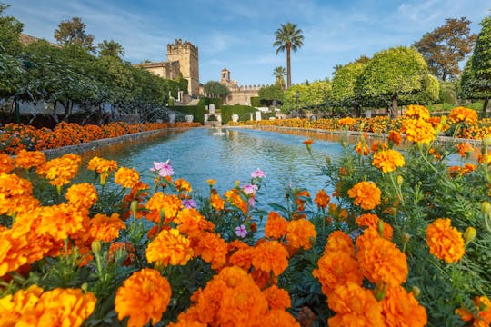 Córdoba cultural visita guiada por el Alcázar, la sinagoga y la judería