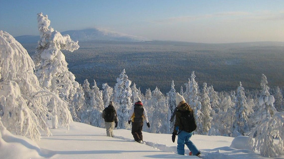 Heldagsudlugt med højdepunkter i Rovaniemi