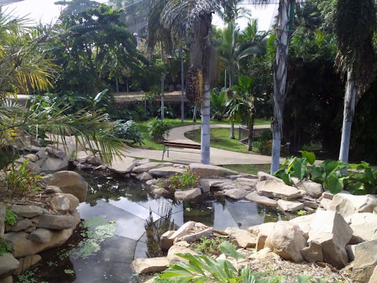 Ogród Botaniczny Palmetum - bilet