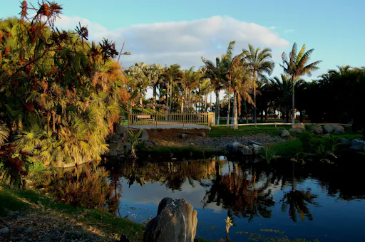 Palmetum Botanical Garden Ticket