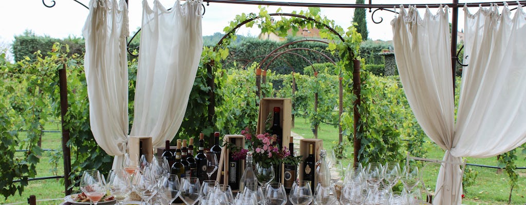 Pranzo nel vigneto della Tenuta Torciano