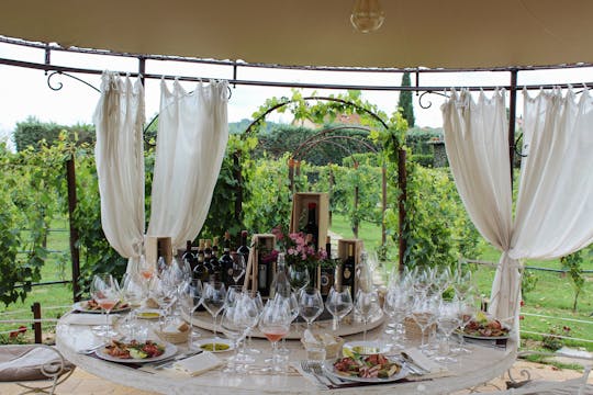 Pranzo nel vigneto della Tenuta Torciano