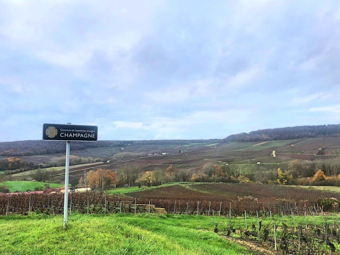 Day-trip in Champagne including Moët & Chandon, Hautvillers and family winery