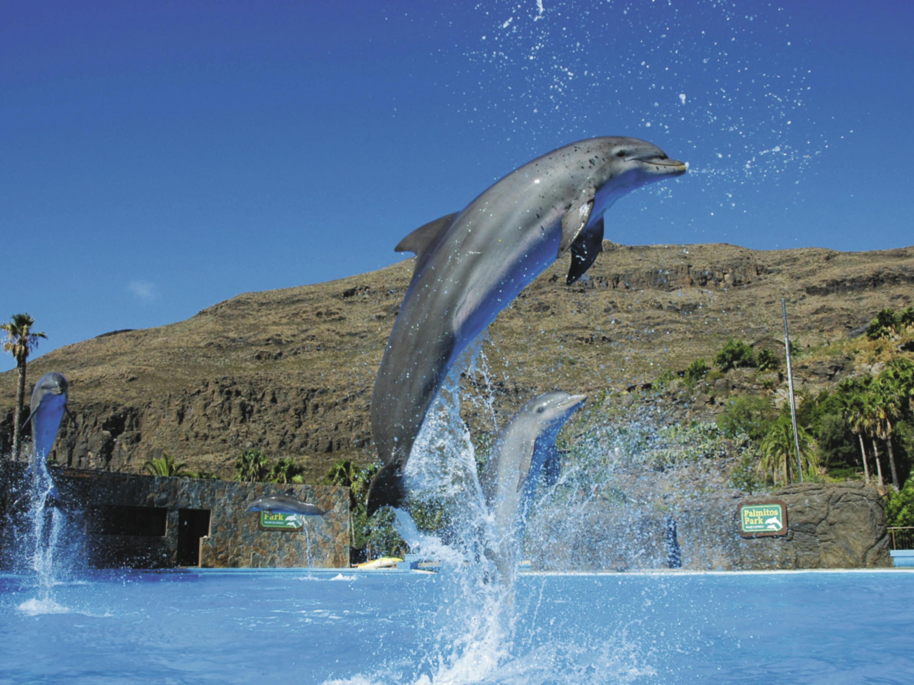 Aqualand & Palmitos TUI Package