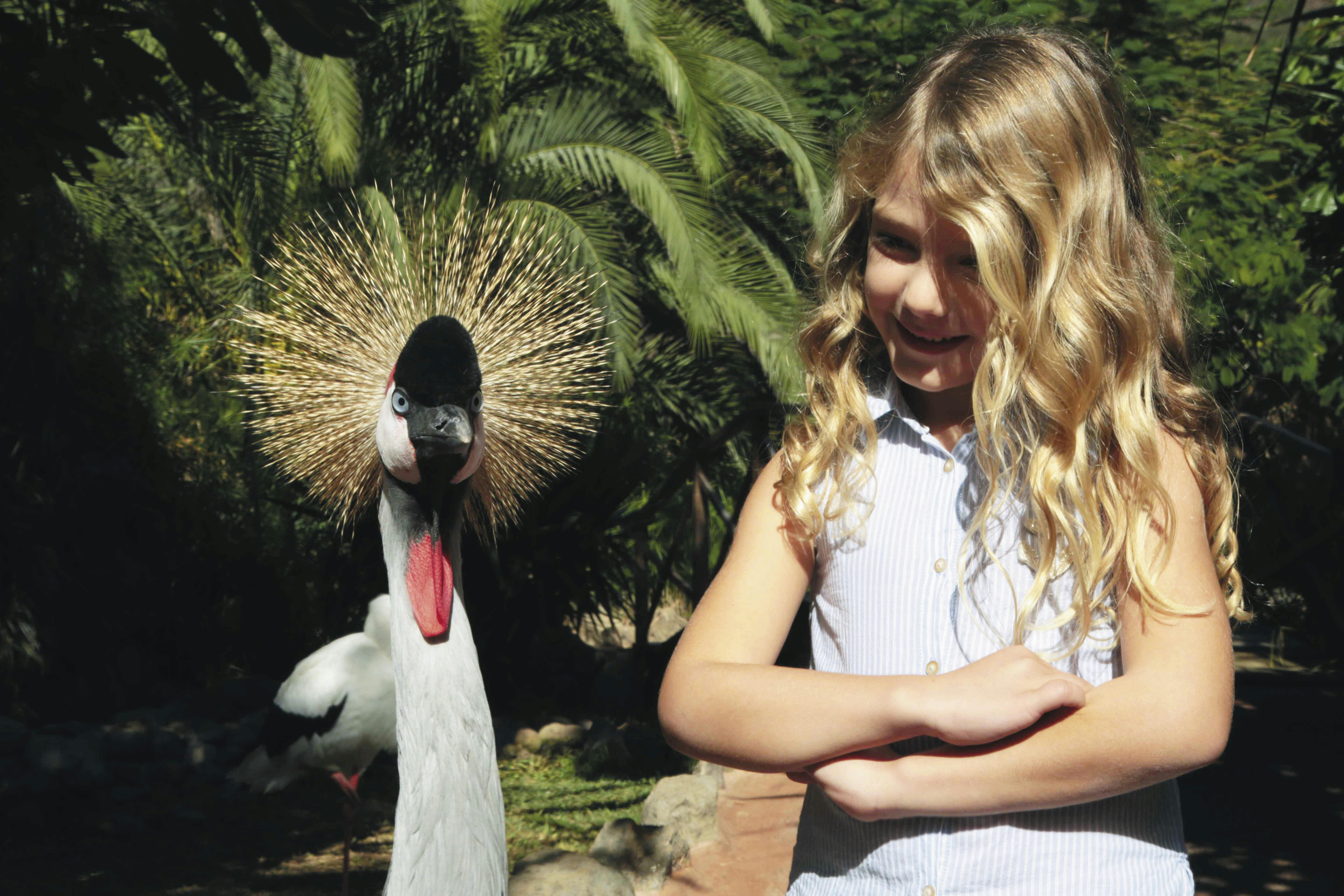 Aqualand & Palmitos TUI Package