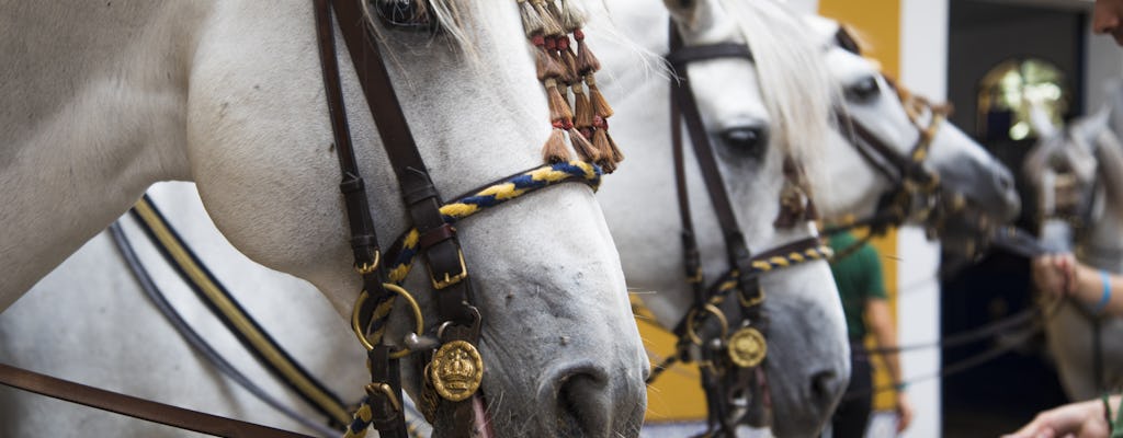 Pferde-Dressur-Show der Königlich-Andalusischen Reitschule