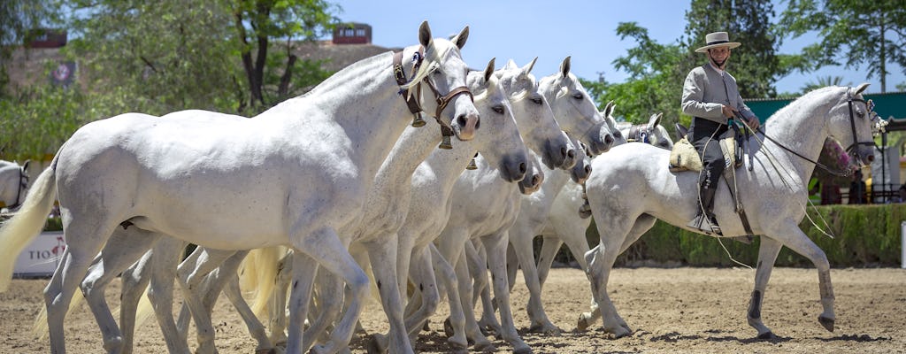 La Cartuja Stud Farm Ticket
