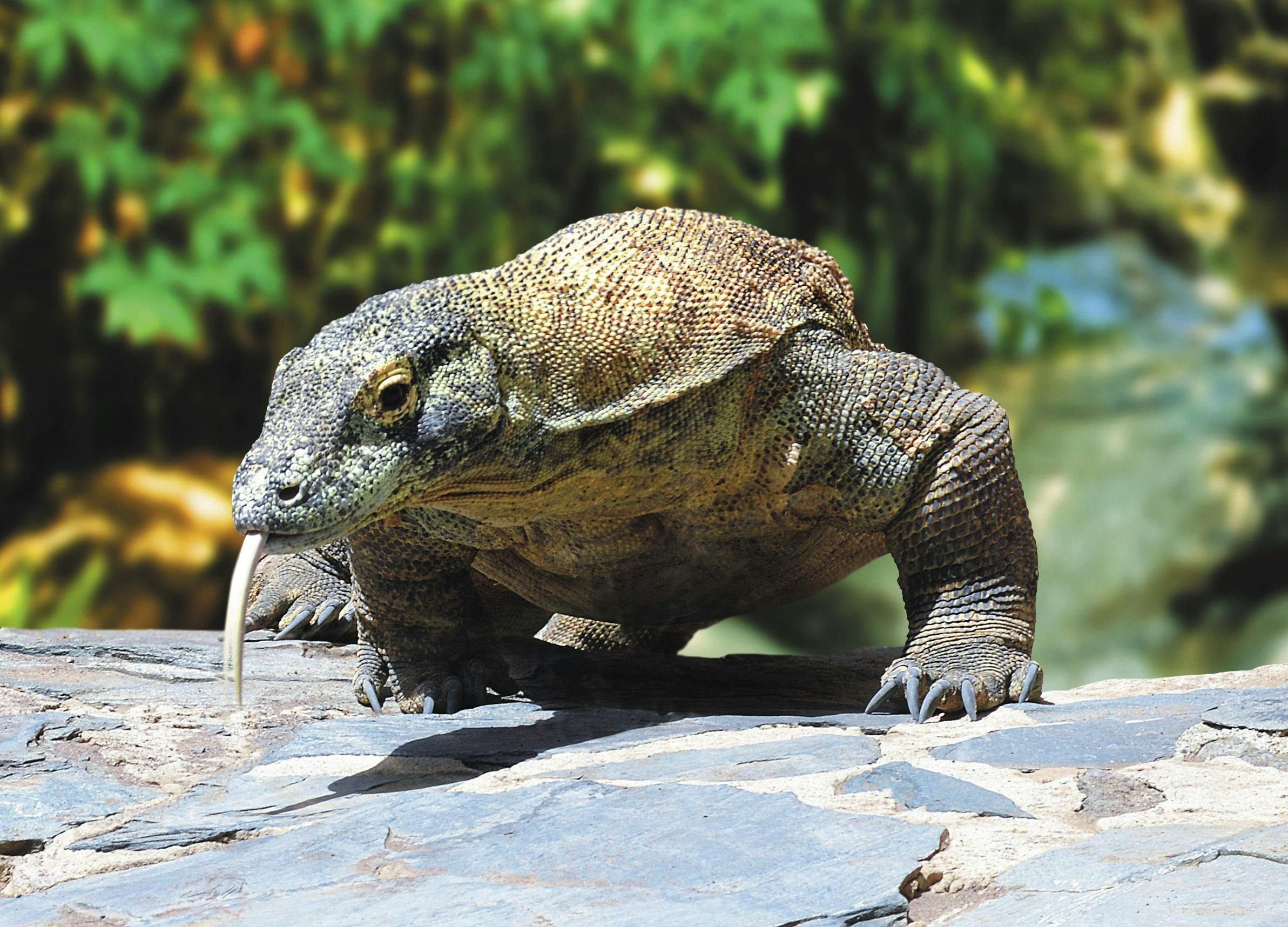 Aqualand & Palmitos TUI Package