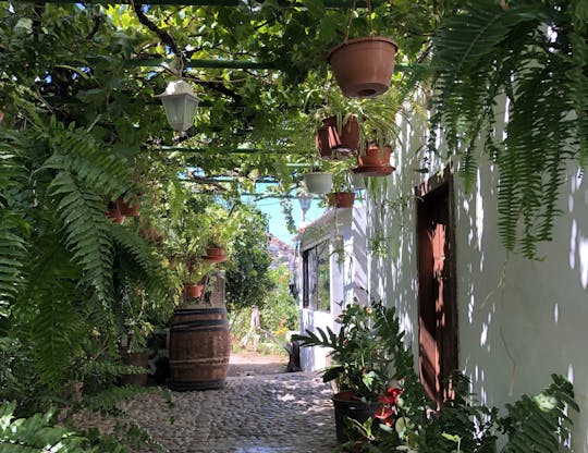 Tastes of Gran Canaria Private Tour