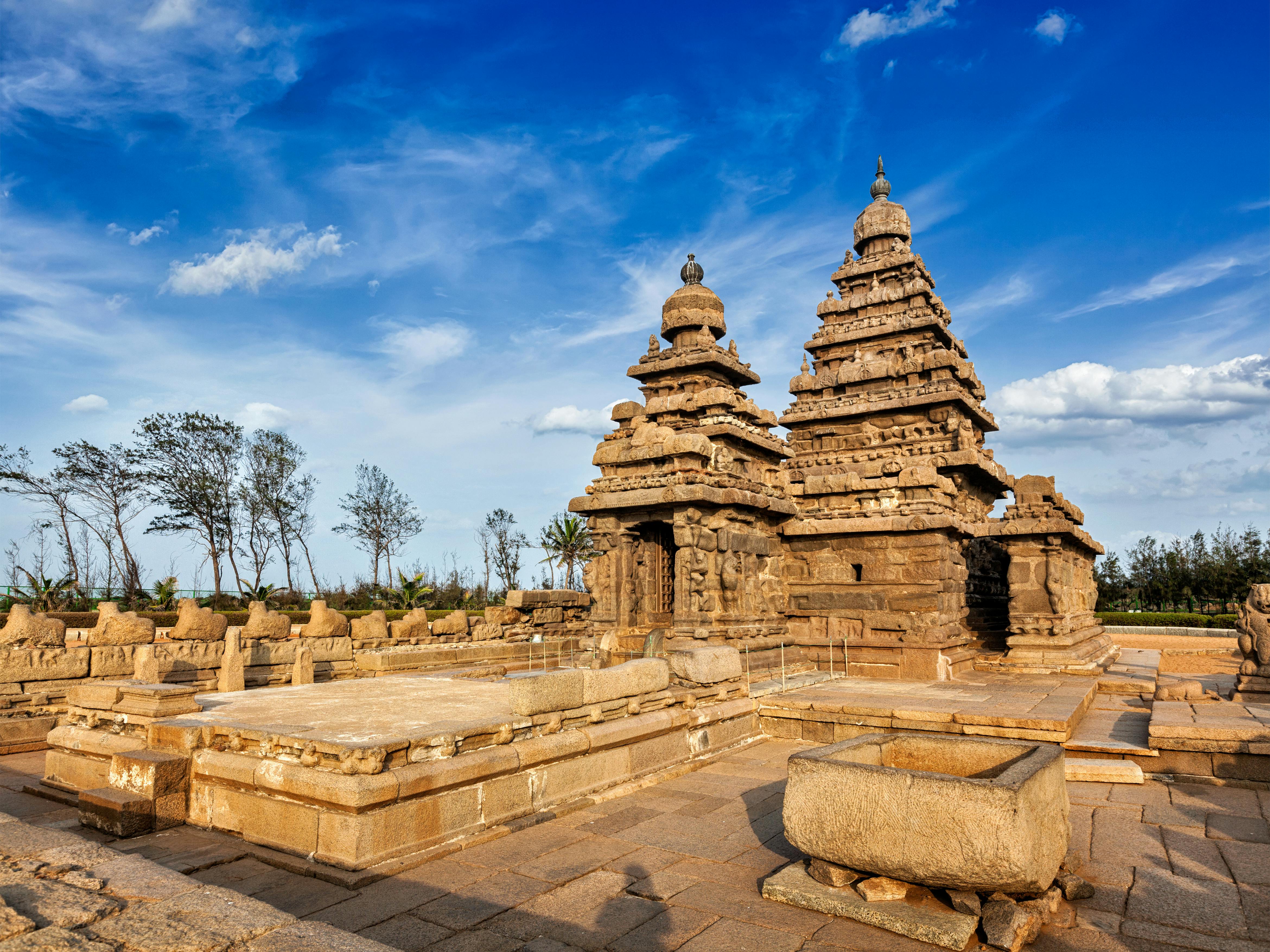Tour privato di un'intera giornata ai templi di Mahabalipuram e Kanchipuram
