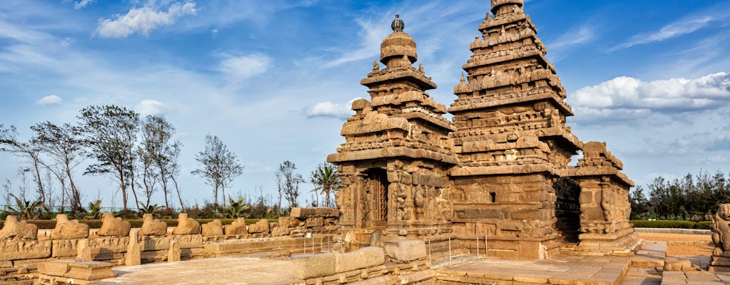 Tour privado de día completo a los templos de Mahabalipuram y Kanchipuram