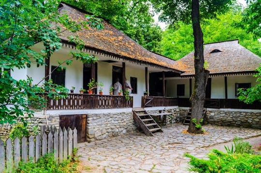Bucharest private city tour including the Village Museum