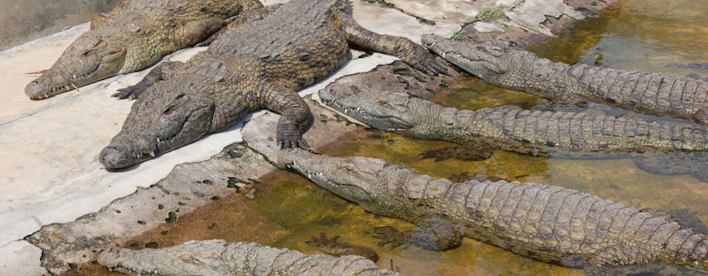 Dar Es Salaam Zoo Day Tour Musement