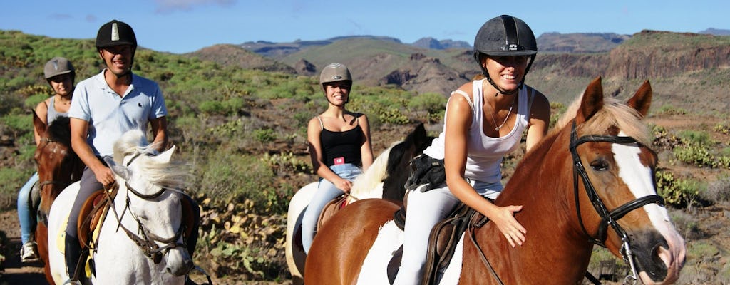 Salobre Pferdereiten auf Gran Canaria