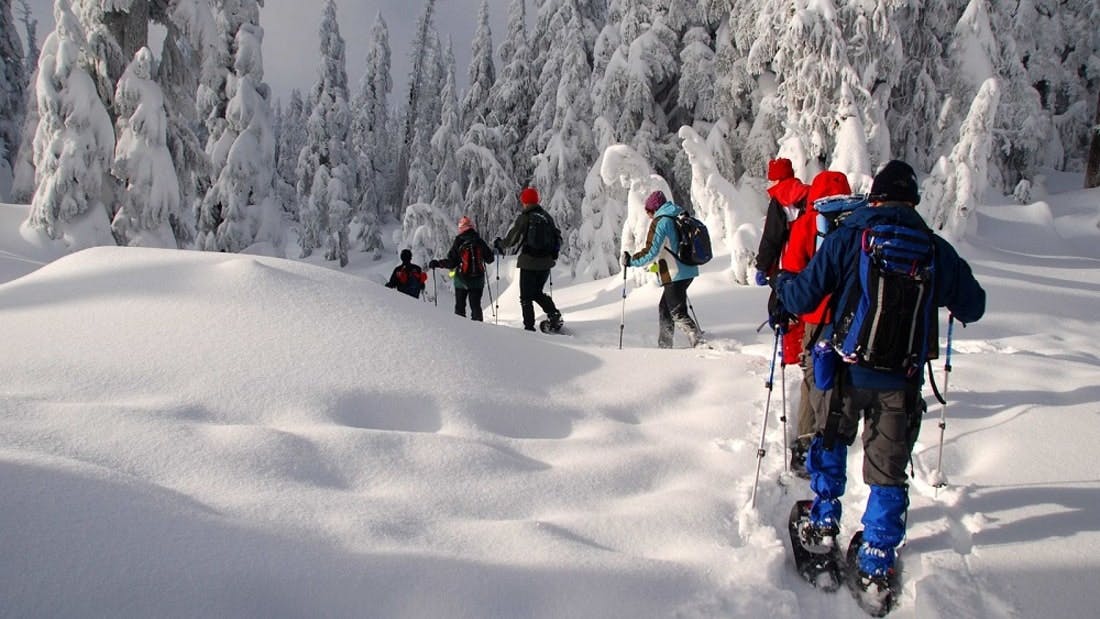 Schneeschuh-Abenteuer in Lappland