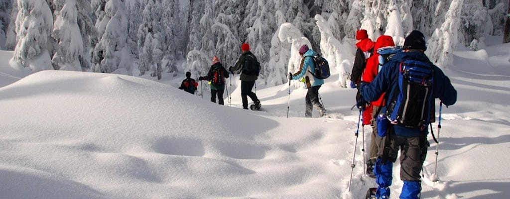 Avventura con le ciaspole in Lapponia