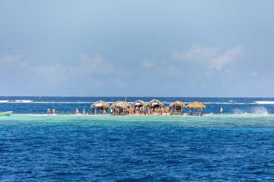 Cayo Arena Regular