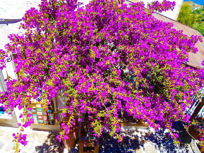 Patmos Island Boat Cruise