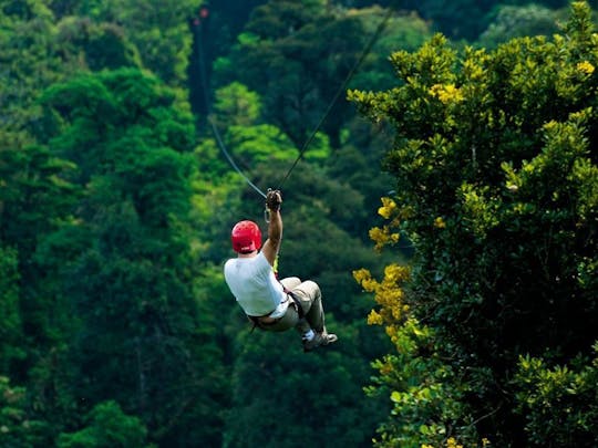 Samana Zipline Tour