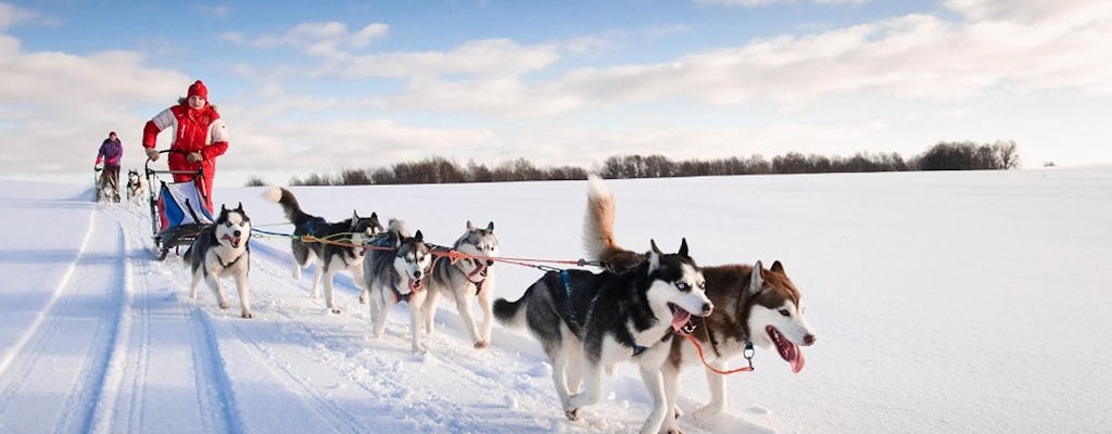 Aventure de 20 km en traîneau à chiens