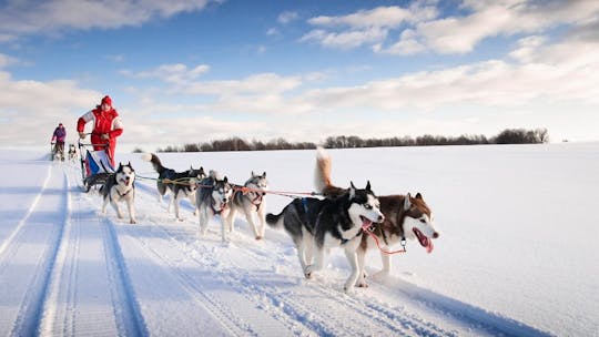 Aventura de paseo en trineo Husky de 20 km