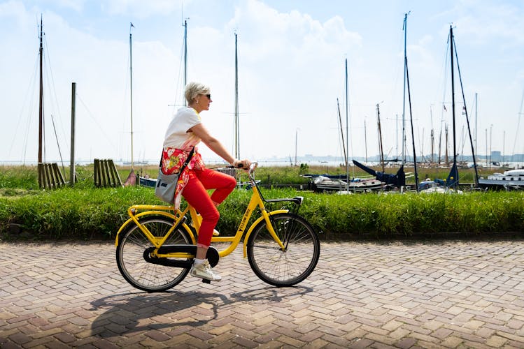 From Amsterdam Dutch countryside bike tour