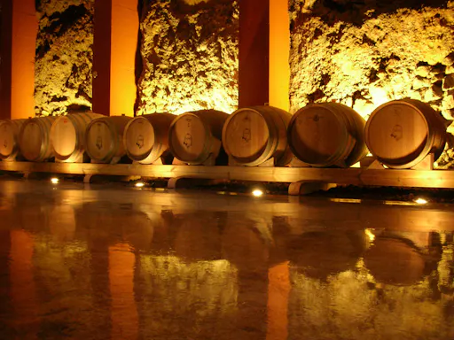 Bodegas Monje – Visit and Winetasting