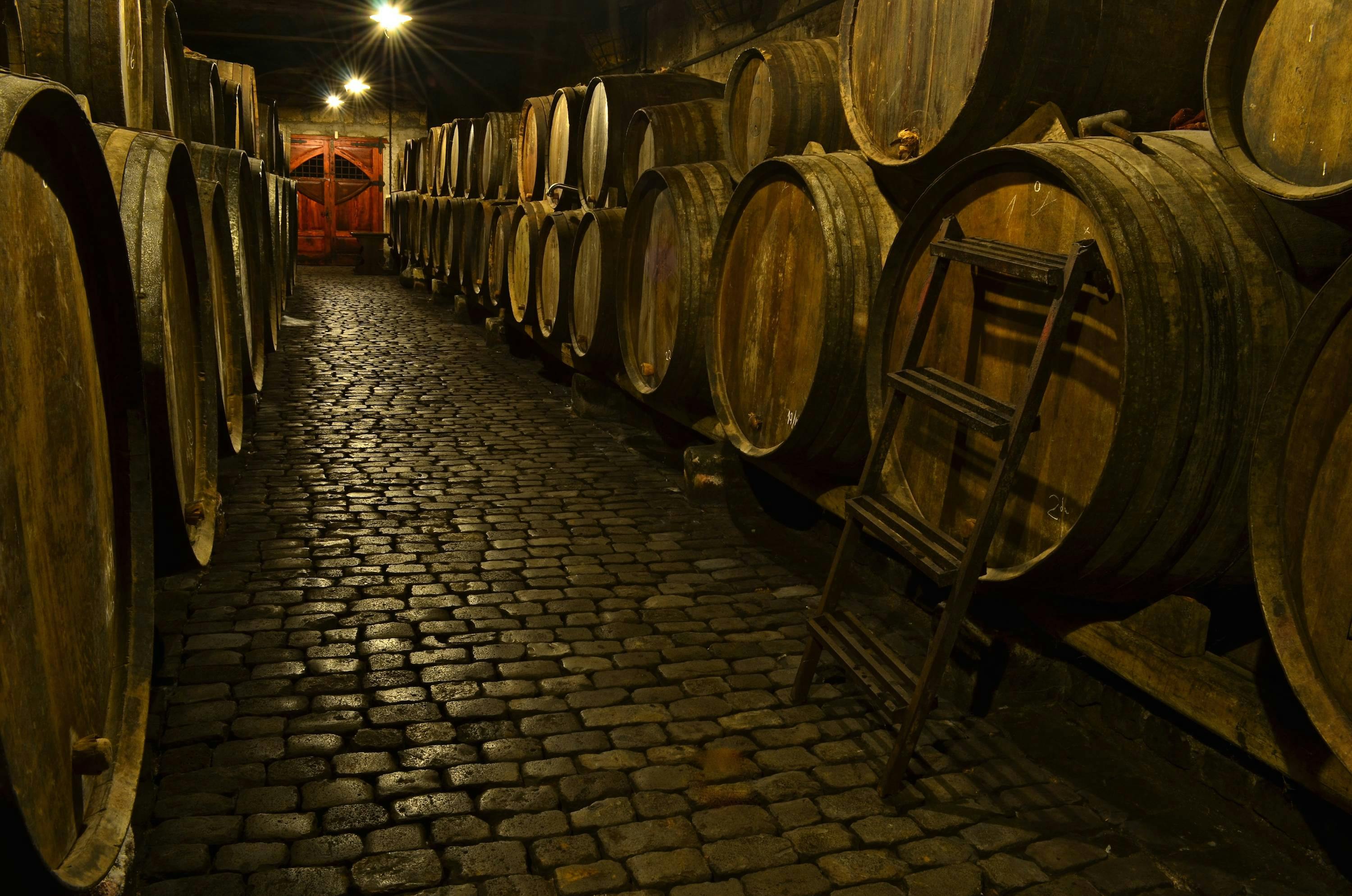 Bodegas Monje – Visit and Winetasting