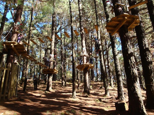 Forestal Park de Tenerife