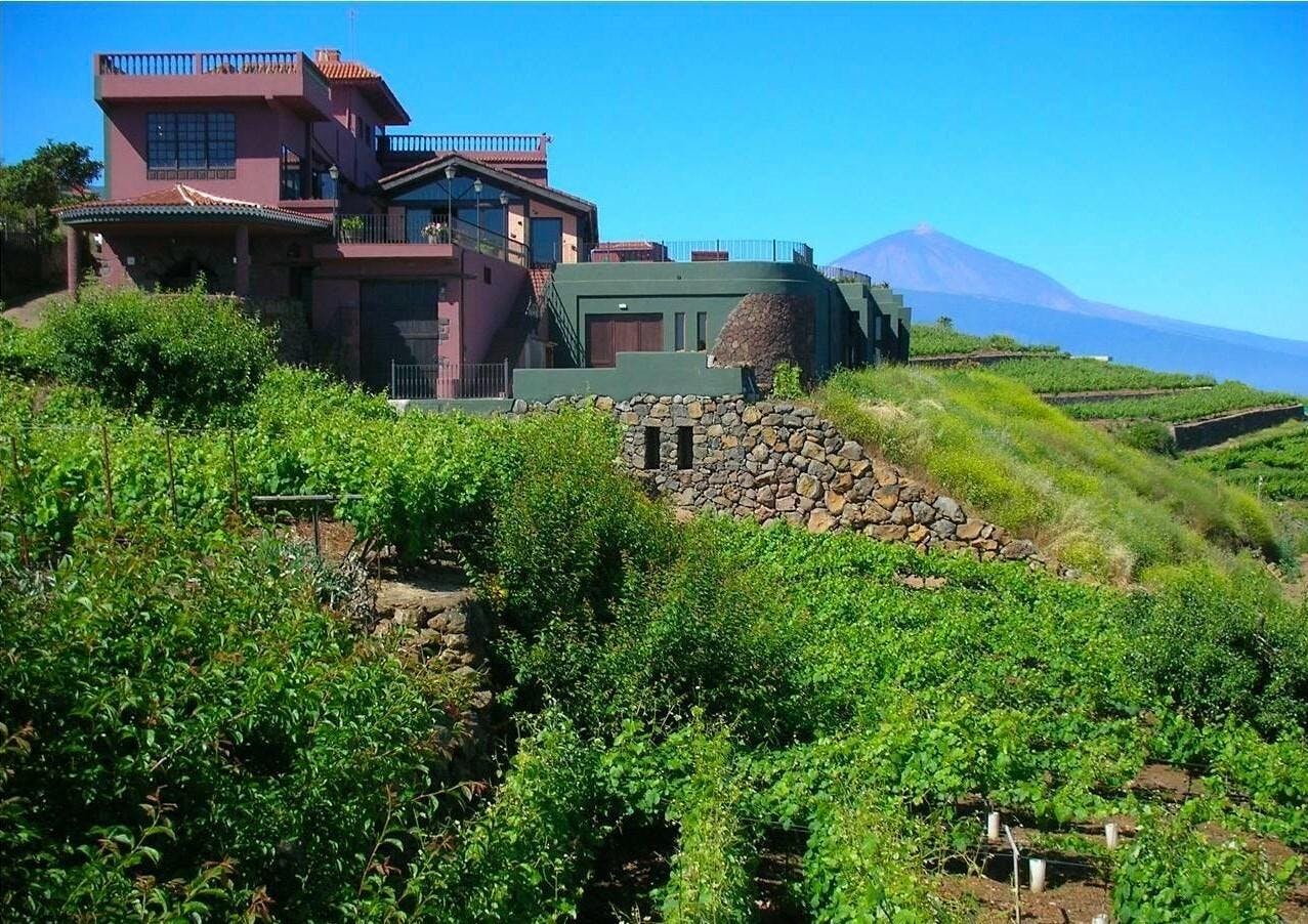 Omvisning og vinsmaking på Bodegas Monje