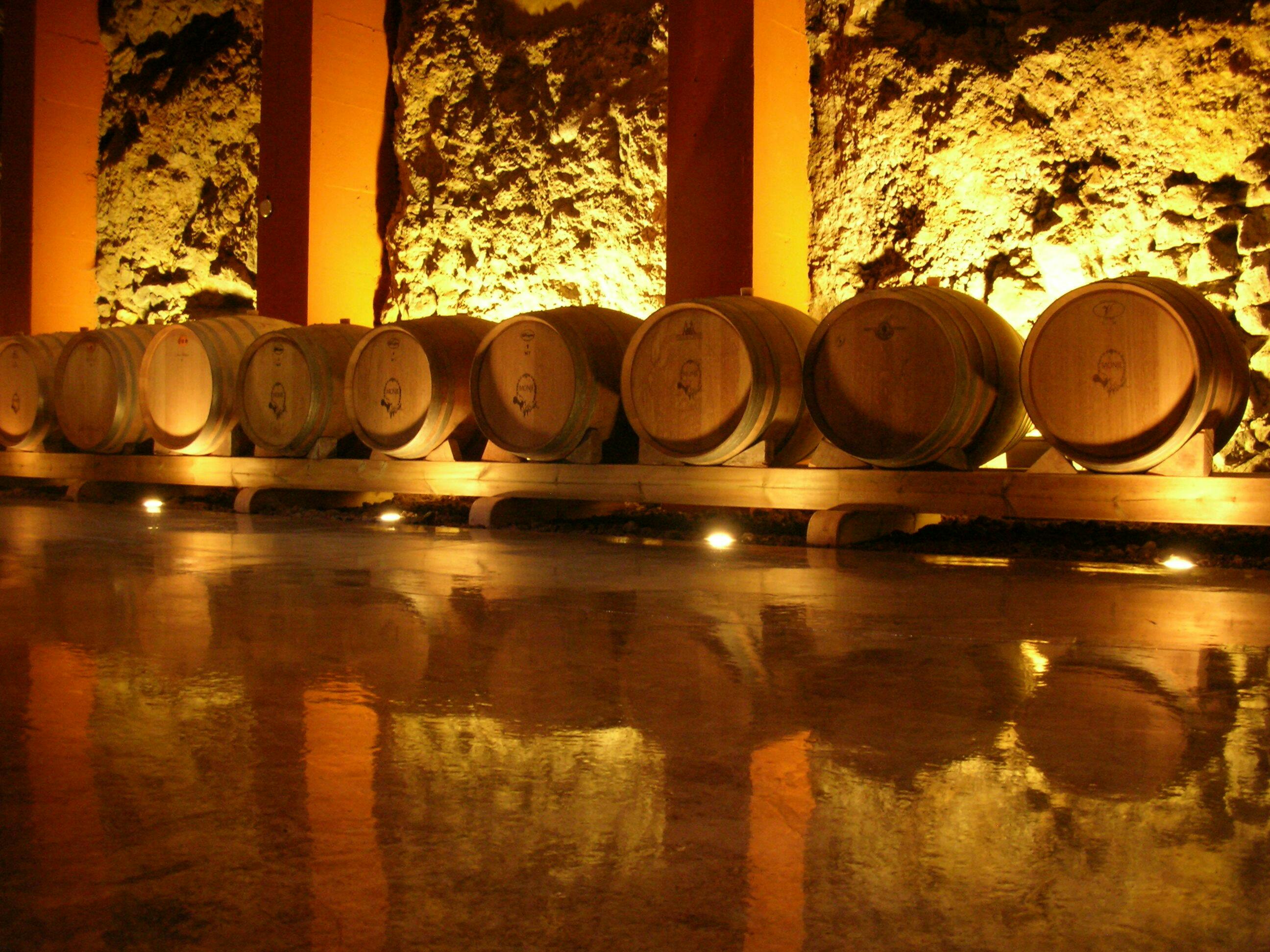 Bodegas Monje – Visit and Winetasting