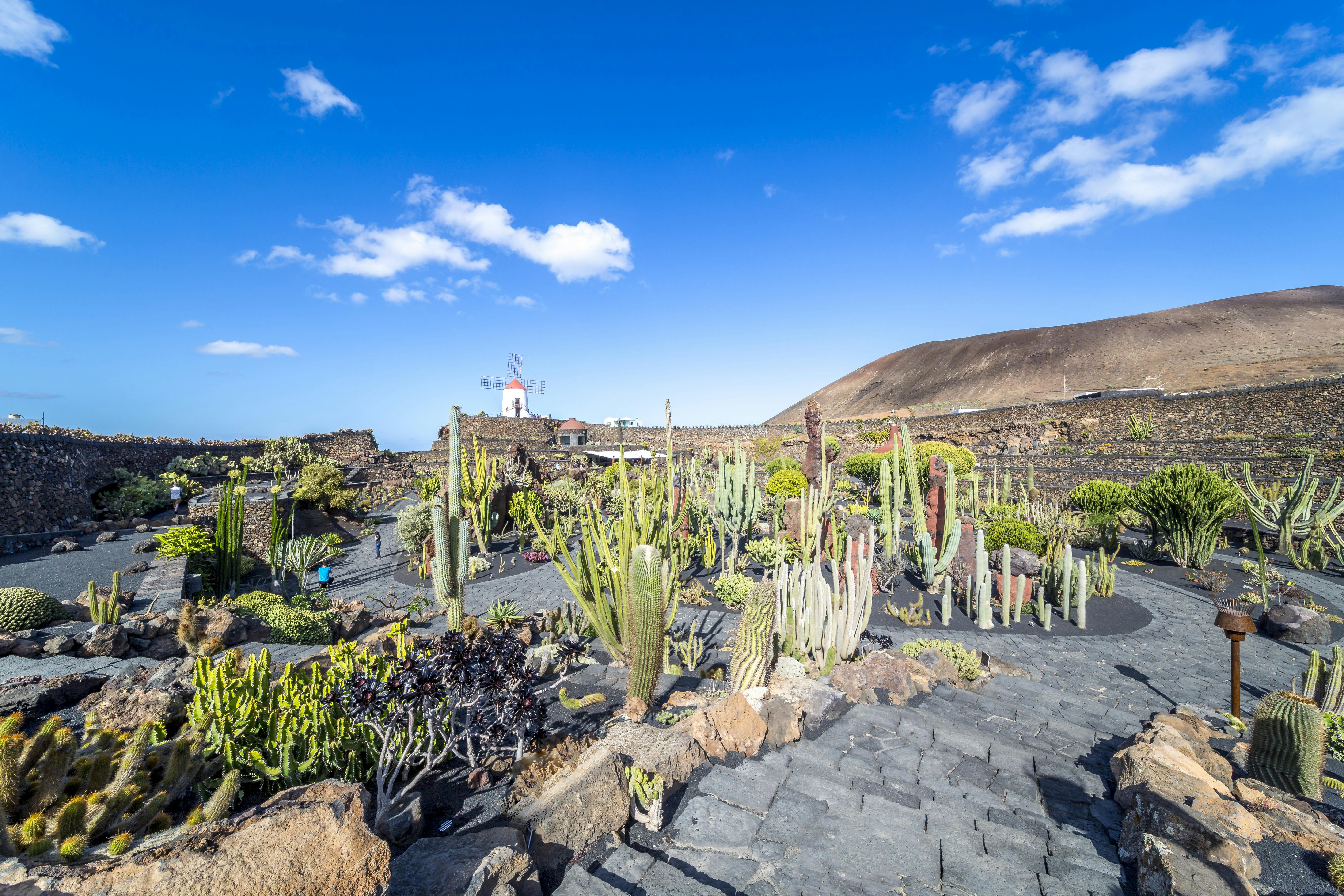 Visite de Lanzarote d'une côte à l'autre