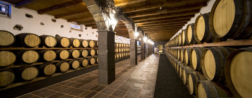 Vulkanisches Lanzarote Grand Tour mit Weinverkostung