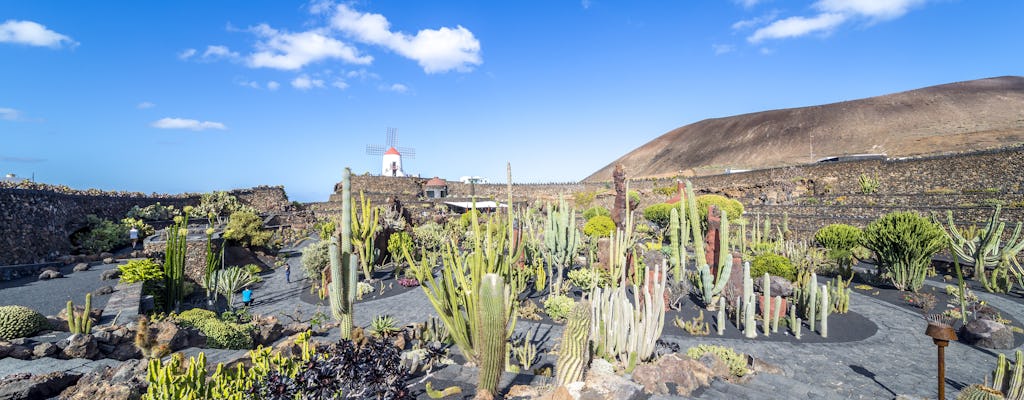 Lanzarote Coast to Coast Tour