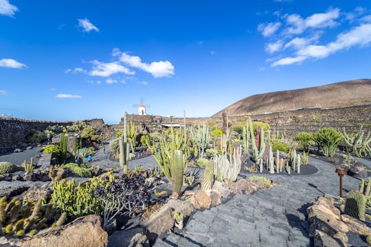 Lanzarote Coast to Coast Tour