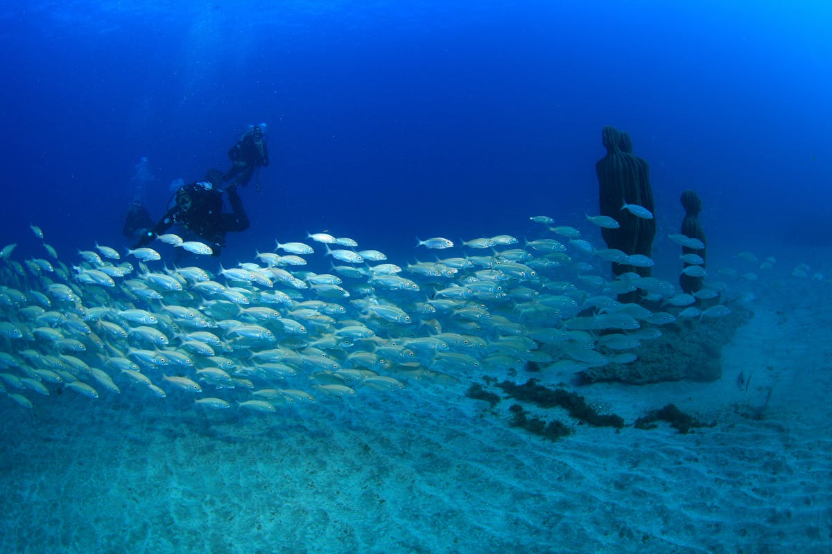 Try Dive and Museo Atlántico
