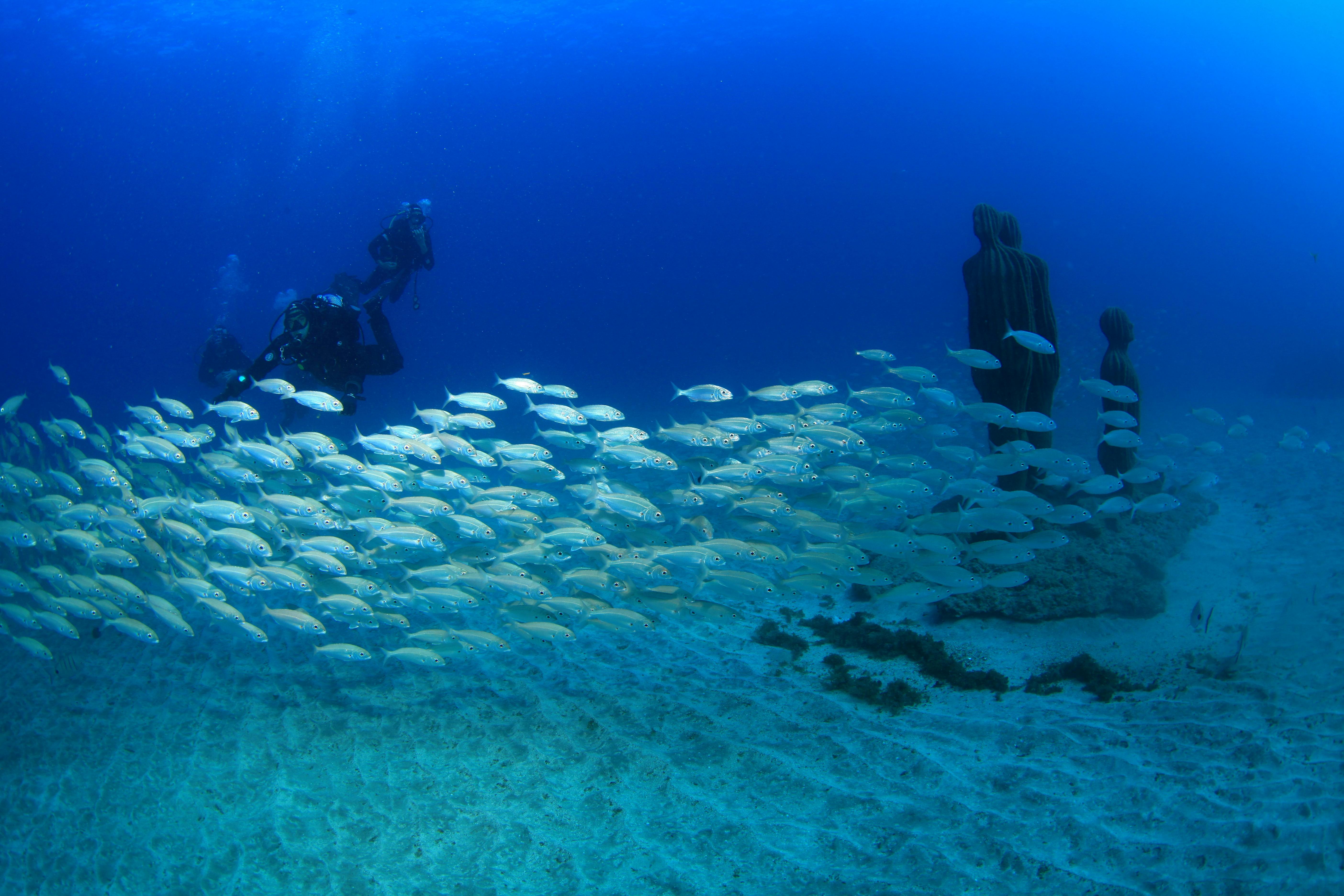 Plongée d'essai et Museo Atlántico