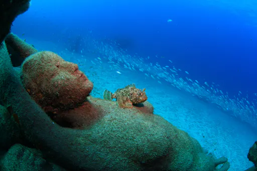 Try Dive and Museo Atlántico