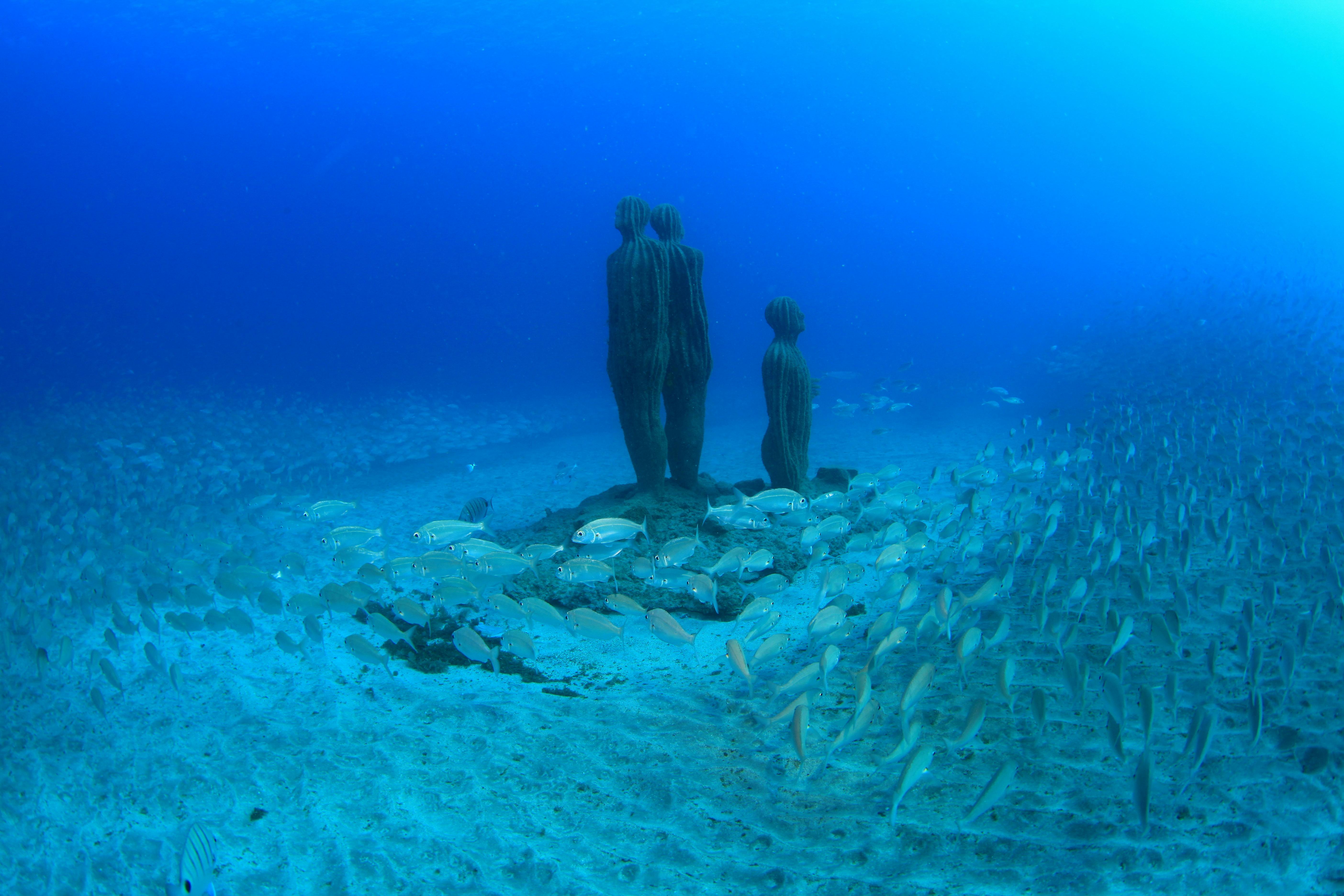 Try Dive and Museo Atlántico