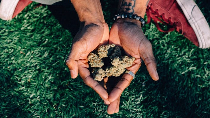 Wycieczka po marihuanie w Seattle Herban Adventure