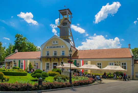 Wieliczka Salt Mine skip-the-line entrance ticket