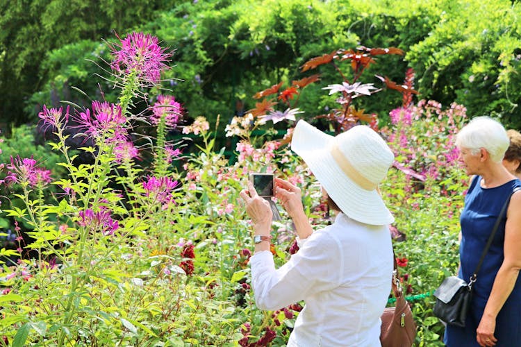 Small-group excursion to Giverny and Versailles from Paris