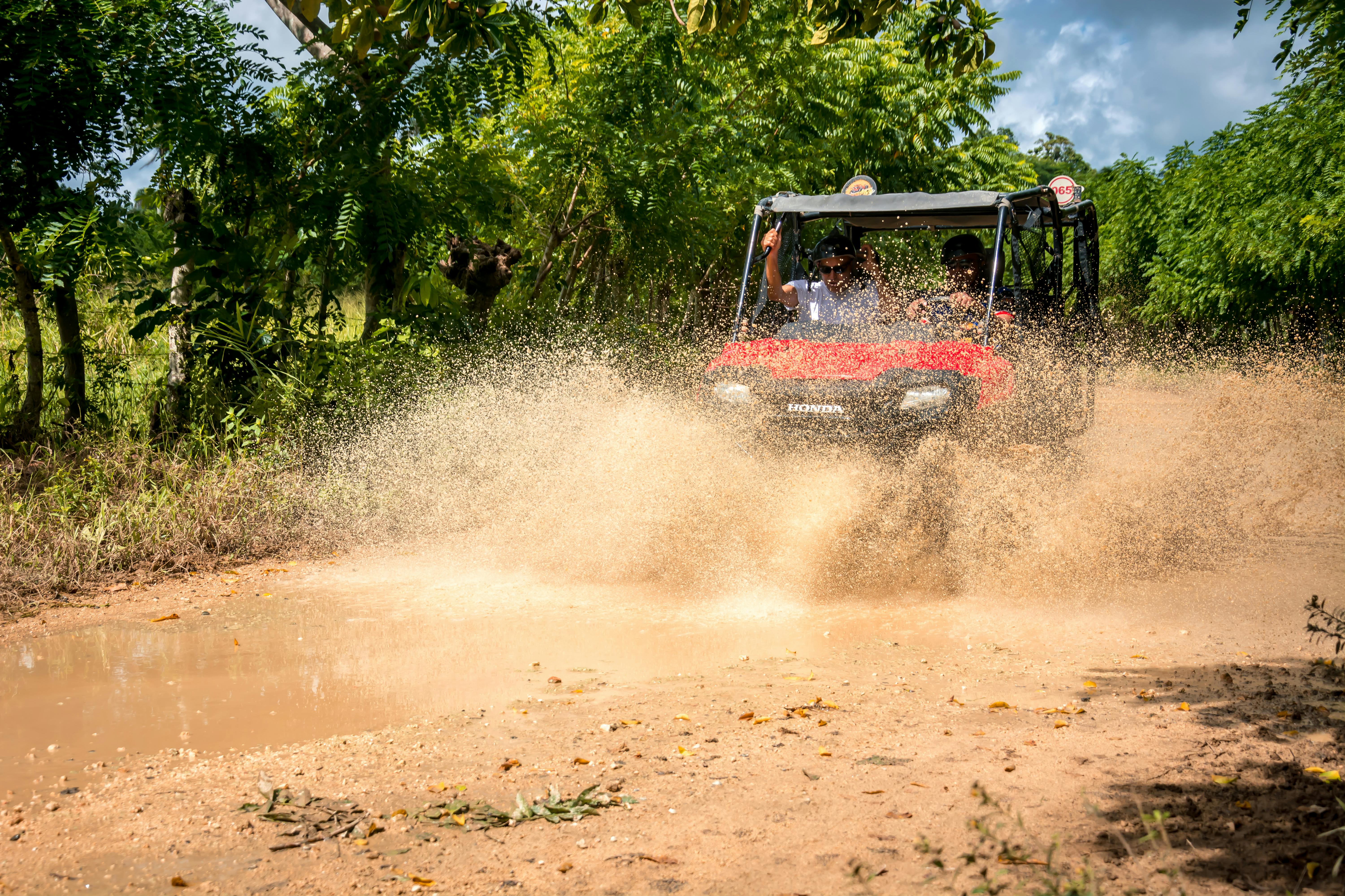 Dominican Safari and Buggy Tour