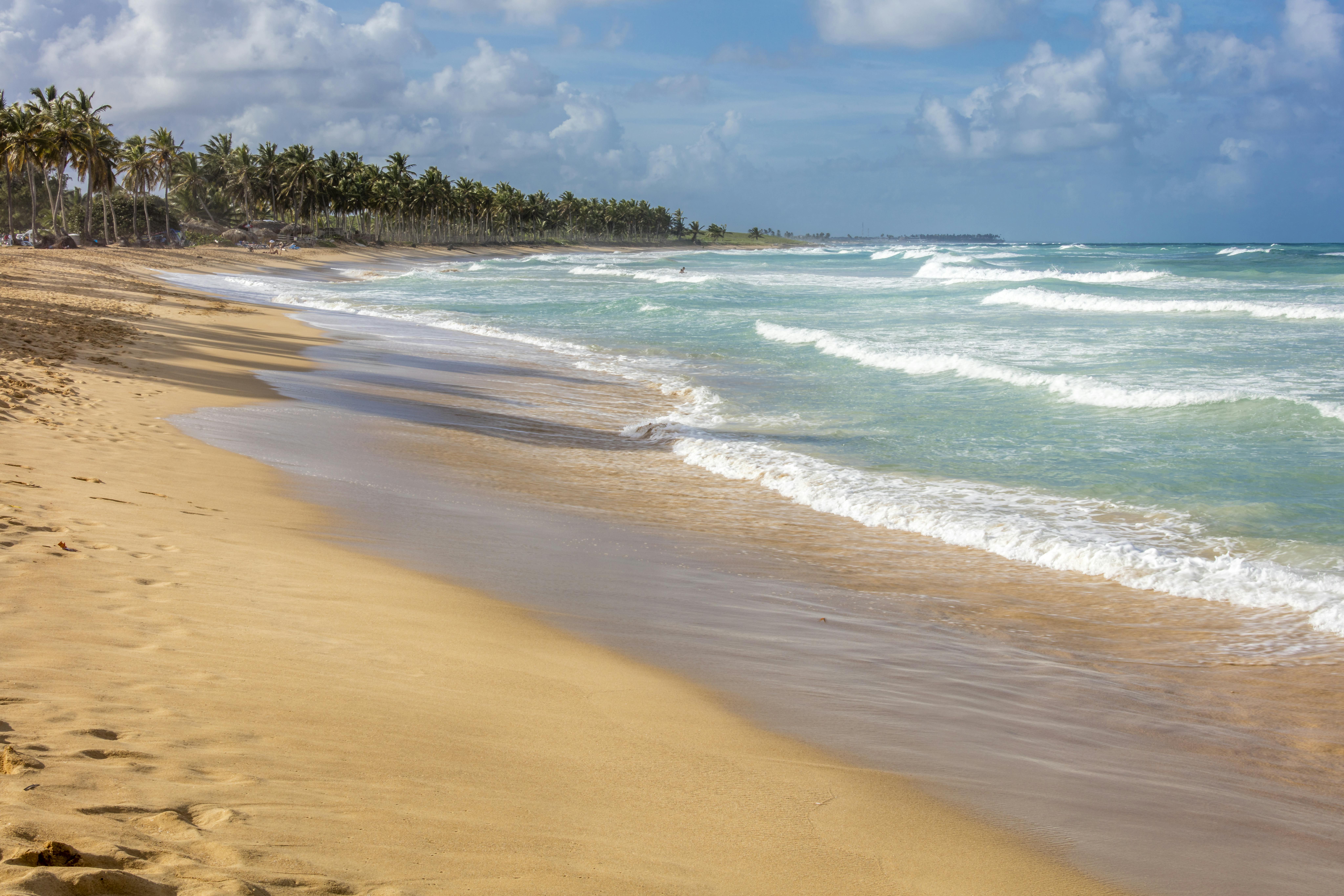 Dominican Safari and Buggy Tour