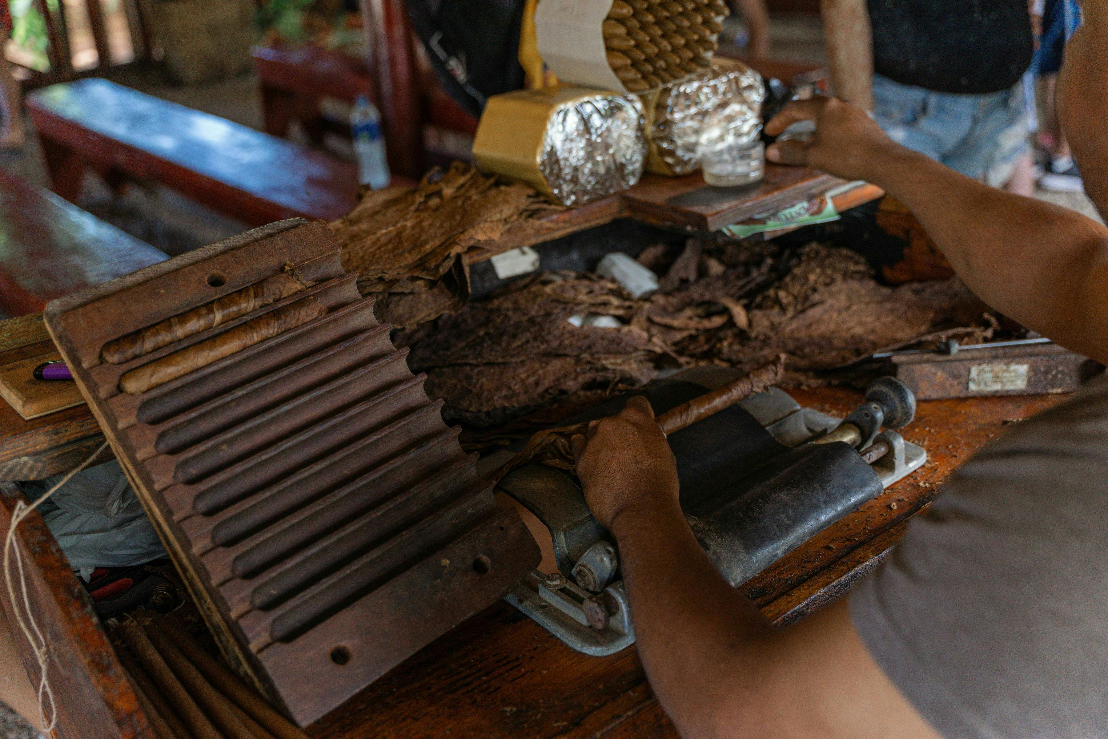 Dominican Safari and Buggy Tour