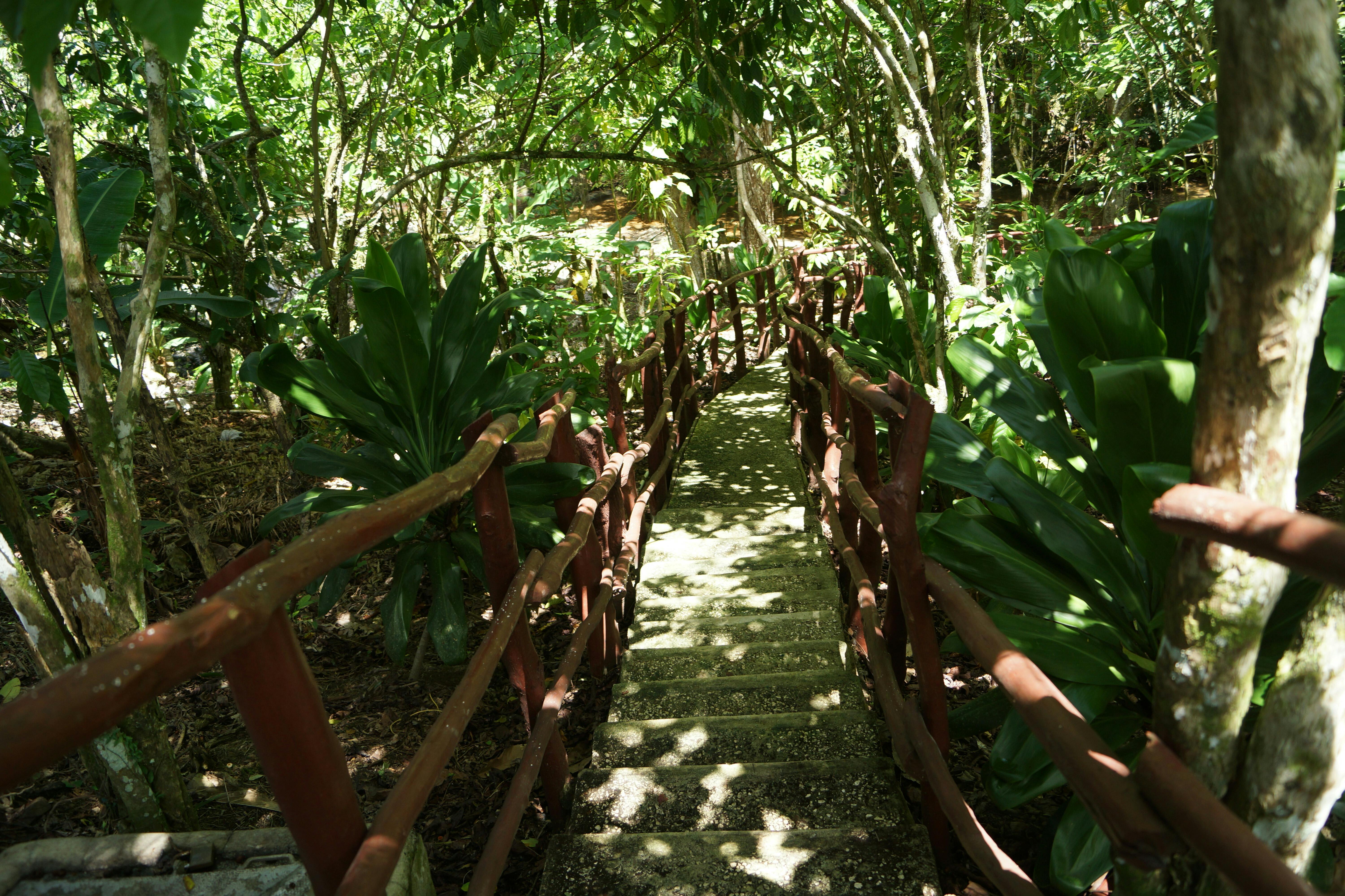 Dominican Safari and Buggy Tour