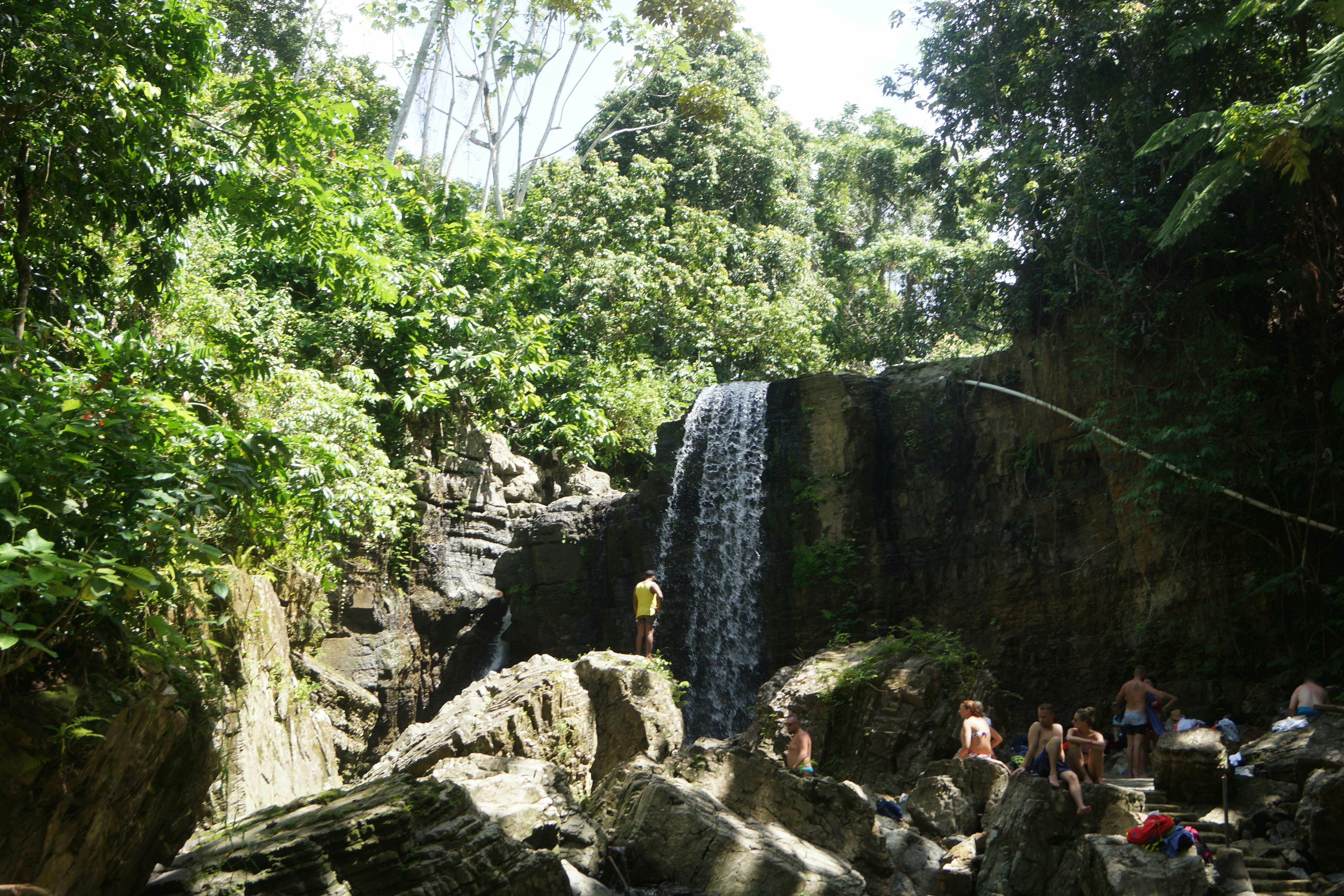 Dominican Safari and Buggy Tour